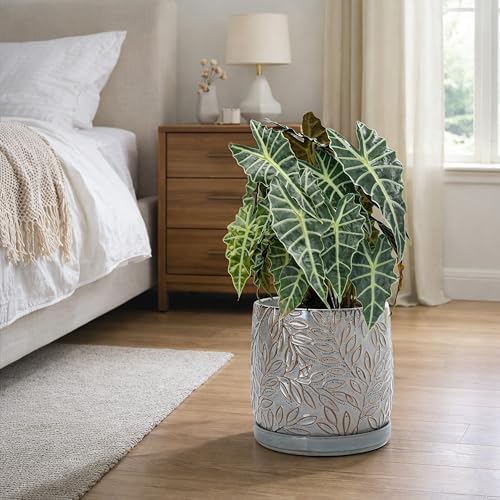 D'vine Dev Embossed Leaves Ceramic Planter, 10 in, Graphite Blue, 27-A-P-9 - Image 5
