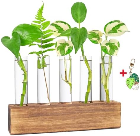 Plant Propagation Station, Plants Propagation Tubes by KKAXYEW