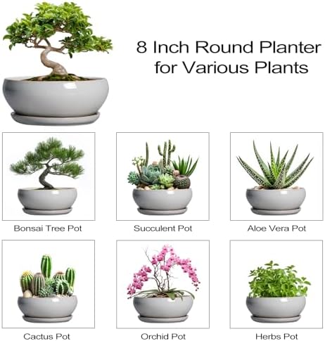 SQOWL Bonsai Tree Pots, 8 Inch Ceramic Plant Pots with Saucer, Gray - Image 7