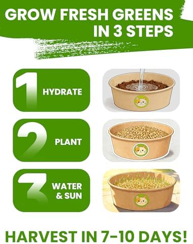 Cat Grass Kit for Indoor Cats, 3 Pack Fast Growing Cat Grass Kit with Eco-Friendly Biodegradable Pots, Soil & Wheatgrass Seeds, Grows in 3-7 Days with High Germination Rate - Image 6