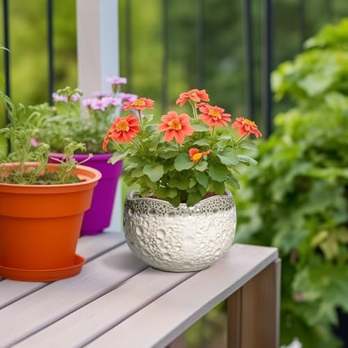 Ceramic Pots for Plants, 6 Inch Plant Pot Indoor, Beige-Grey - Image 4
