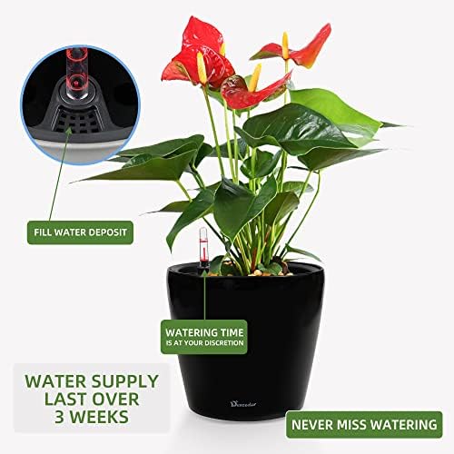 Dexceder 11x10 Self Watering Planter (Black High Gloss) - Image 5