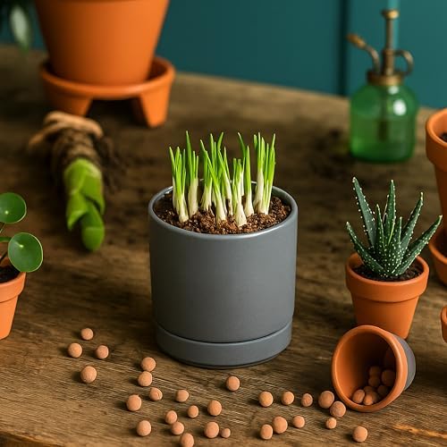 D'vine Dev 3.5 Inch Ceramic Planter Pot, Grey, 94-O-A-3 - Image 5