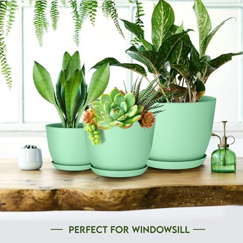 Plant Pots Indoor with Drainage, 10 Pack Multi-Size Planters Set, Mint - Image 6