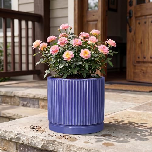 Ceramic Plant Pots 10 Inch, Round Pots for Plants with Tray, Blue - Image 7