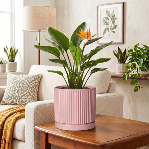 8 Inch Plant Pot, Ceramic Flower Pots, Round Plant Pots, Pink - Image 6