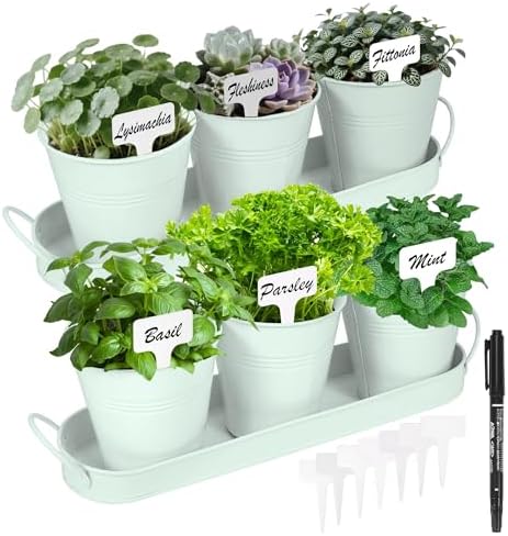 Herb Garden Planter Indoor Kit – 6 Metal Pots with 2 Trays for Windowsill & Kitchen Counter – Modern Decorative Indoor Planters for Herbs, Succulents & Small Plants, Mint by Wacloud