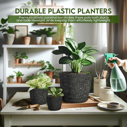 Plant Pots Indoor with Drainage 10 Pack Multi-Size Planters Spotty Black - Image 6