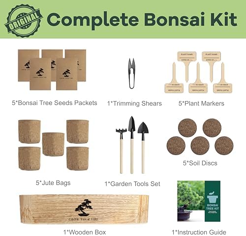 LUOJIBIE Bonsai Tree Kit for Beginners - Unique Gifts for Women, Crafts for Adults, for Women & Men,Complete Indoor Plant Kit,Easy House Plant - Image 6