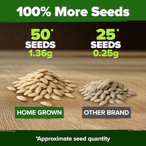 HOME GROWN Persian Cucumber Seeds, 50+ Seeds, Cucumis sativus - Image 3