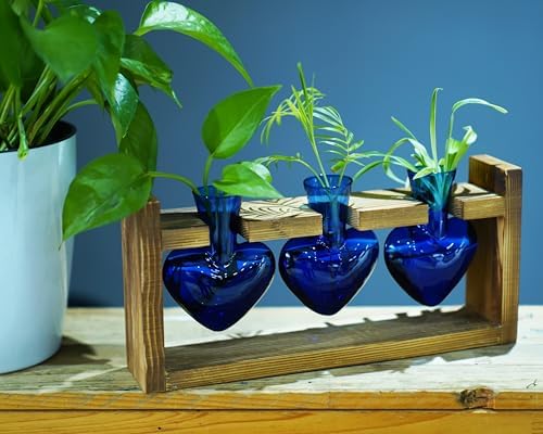 Kingbuy 3-Heart Plant Terrarium Kit with Vintage Wood Stand - Stained Glass Vase Propagation Station, Wall-Mounted & Tabletop Indoor Decor for Home Kitchen Wedding Gift, Blue - Image 3