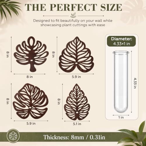 Junkin 4 Sets Wooden Monstera Leaf Wall Mount, Leaf Shaped Hanging Wall Planter Terrarium Propagation Stations for Plants with 4 Glass Tubes for Indoor Cuttings, Vines Houseplant Home Office Decor - Image 2