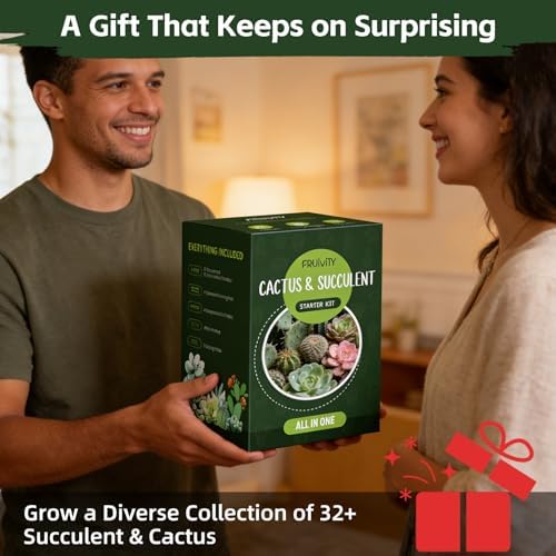 Succulent & Cactus Seed Kit for Planting, Premium Cactus & Succulent Starter Kit: 4 Growing Pot, Markers, Seeds Mix, Soil - Beginner Indoor Cacti Kit – House Plant - Men Women DIY Gift Kits - Image 7