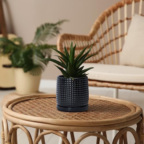 D'vine Dev Beaded Ceramic Pot with Saucer, 4 in, Glossy Black, 27-C-Z-2 - Image 5