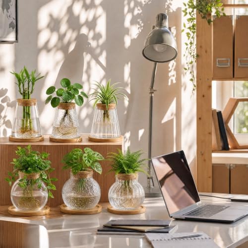 Honeydak 6 Pcs Plants Propagation Stations Planter Terrariums with Wooden Lid and Bamboo Stand Hammered Glass Propagation Vases for Plant Growing Hydroponic Home Office Tabletop Decoration - Image 2