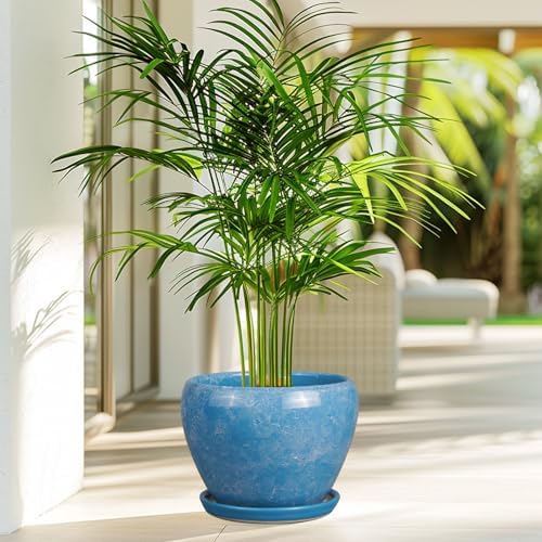 Ceramicfor Ceramic Planter, 8 Inch Plant Pot, Blue - Image 6
