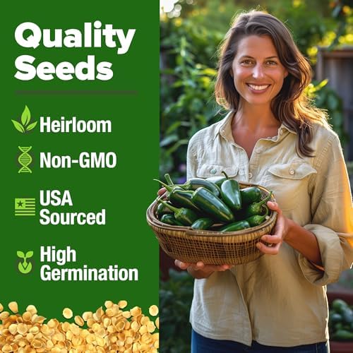 HOME GROWN Jalapeno Pepper Seeds, 129+ Seeds, Capsicum annuum - Image 3