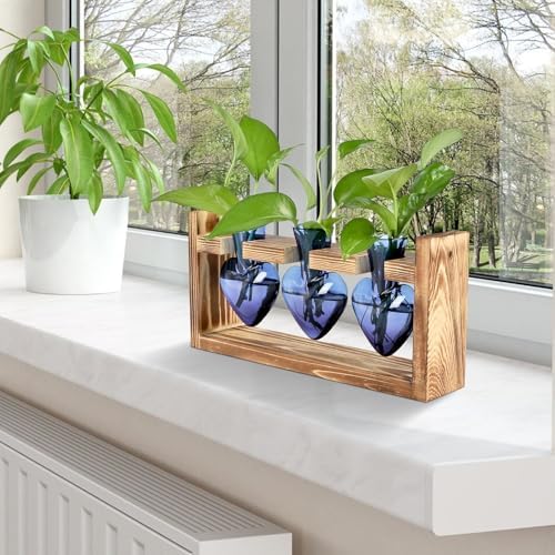 Plant Terrarium Propagation Stations Hydroponics - Image 6