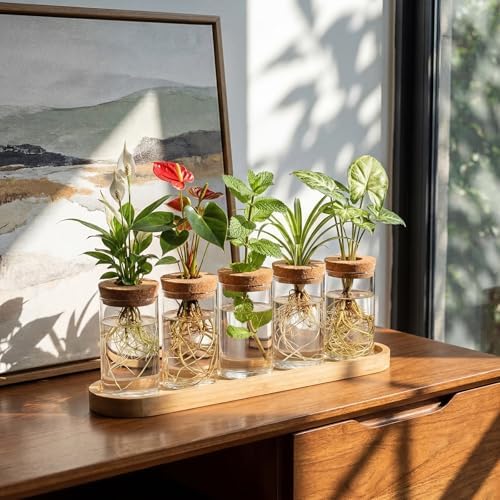 Zhehao 5 Pack Plant Propagation Station Hydroponic Glass Jar Terrarium with Cork Lids Bamboo Tray Desktop Planter for Rooting Cuttings Home Office Garden Decor - Image 5