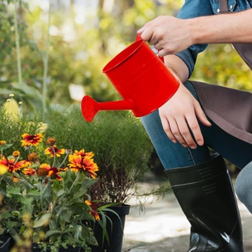 Small Watering Can, 1L Metal Flower Garden Watering Can, Gardening Tool Accessories for Outdoor Indoor Plants Lawn (Red) - Image 3