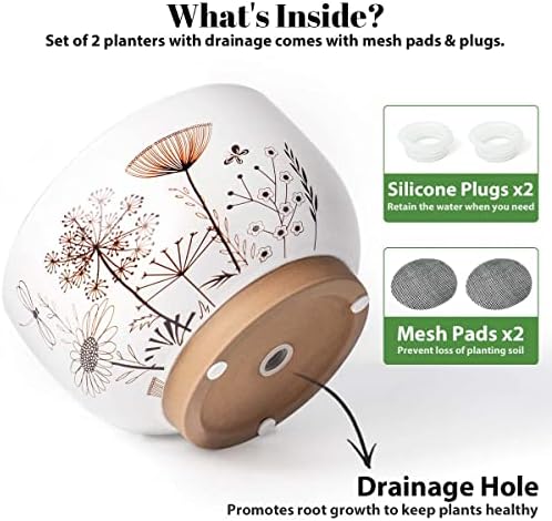 Terracotta Pots, 8+6 Inch Plant Pots, 2 Pcs with Drainage Holes - Image 4