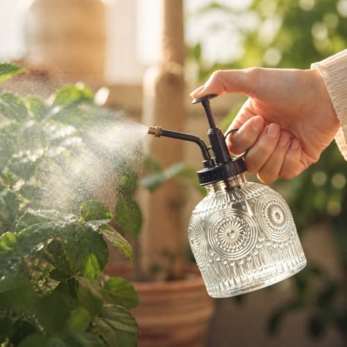 Glass Plant Mister Spray Bottle Vintage Refill Leak Proof Watering Can 8oz - Image 2