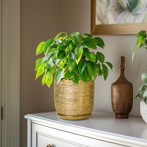 Ceramic Plant Pot 7 Inch - Ceramic Planter for Indoor Outdoor Plants, Round Modern Flower Pot with Drainage Hole and Saucer, Housewarming Gifts, House Patio Office Home Decor, Gold - Image 4