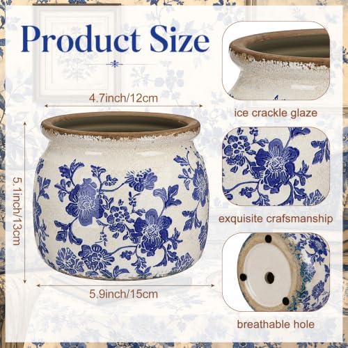 Vintage Planter, Chinoiserie Ceramic Plant Pot with Drainage Hole - Image 2