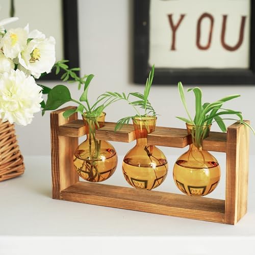 Kingbuy Glass Plant Terrarium Propagation Station - 3 Bulb Colored Vases with Retro Wood Stand Indoor Garden Planter - Wall Mount Desktop Decor for Home Kitchen Wedding, Plant Lover Gift, Amber - Image 3