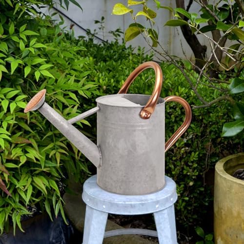 Metal Watering Can with Removable Spout, Galvanized Watering Can, Perfect for Indoor Use and for Outdoor Use (1 Gallaon, Zinc) - Image 4