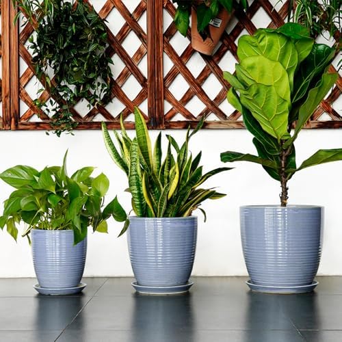 Ceramic Planter - Modern Round 12 Inch Pots for Plants with Drainage Hole and Plant Saucer for Flower Indoor, Garden Room Home Office House Decor, House Warming Gifts, Blue-Purple - Image 7