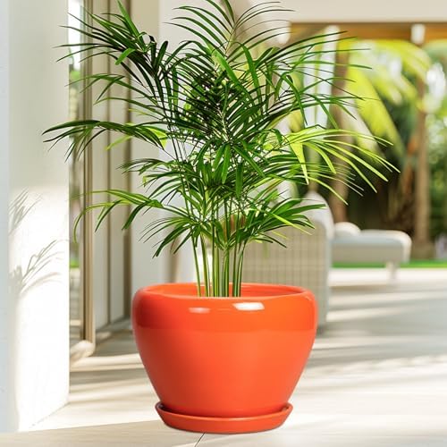 Ceramicfor Ceramic Pot for Plants - 10 Inch Plant Pot with Drainage Hole and Saucer, Modern Round Glaze Planter for Indoor Outdoor Plants, Plant Lover Gifts, Home Garden Office Decor, Orange - Image 4