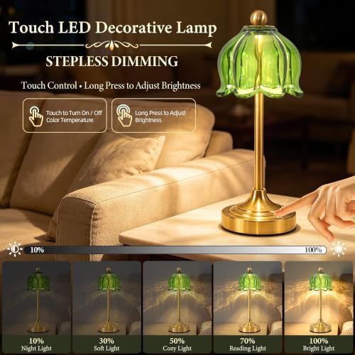Cordless Touch Table Lamp,Rechargeable Lamp with Glass Shade - Image 2