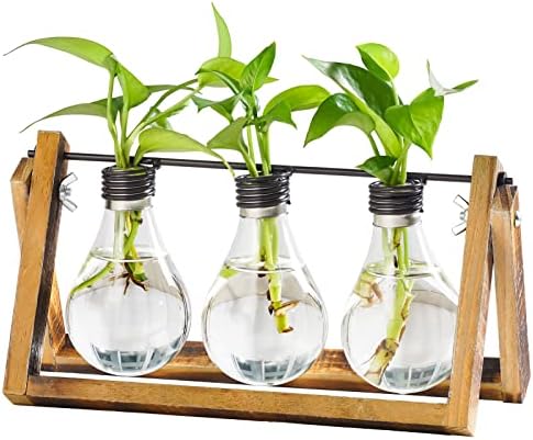 Marbrasse Plant Propagation Stations with Wooden Stand, Desktop Plant Terrarium Holder Bulb Vase, Glass Vase Container with Metal Swivel Holder for Hydroponics of Home Garden Office Decor Lover Gifts by Marbrasse