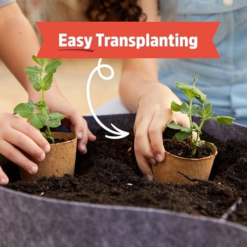 Back to the Roots Kids Science Grow Kit 2ct - Watermelon and Sunflower (Pack of 8) - Image 4