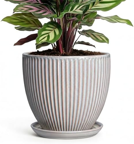 6 Inch Pots for Plants, Ceramic Plant Pots for Indoor Snake Plants, Round Succulent Planter with Drainage Hole and Saucer, Modern Decorative Flower Pot, Bathroom Decor, Gardening Gifts, Grey by Unknown