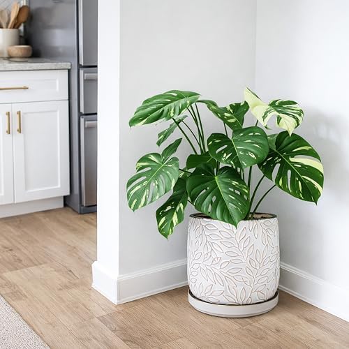 D'vine Dev Embossed Leaves Ceramic Planter, 10 in, Smoked White, 27-A-P-1 - Image 5
