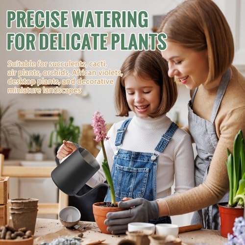 Small Watering Can Indoor Plants 20 OZ Mini Metal Watering Can Leakproof - Image 5