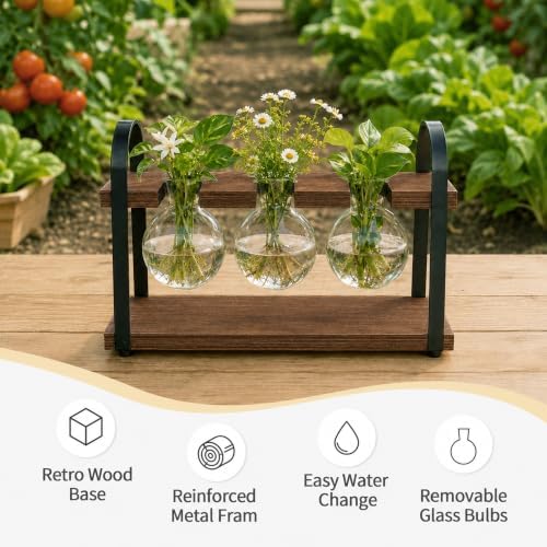 THYGIFTREE 3-Bulb Plant Propagation Station, Glass Vase Terrarium, Brown - Image 5