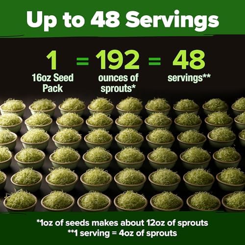 HOME GROWN Alfalfa Sprouting & Microgreen Seeds 16 oz Bulk Pack - Image 3