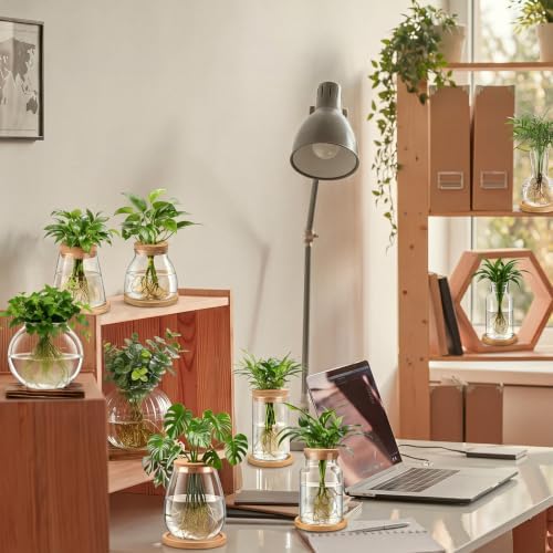 Honeydak 12 Pcs Plants Propagation Stations Desktop Glass Propagation Vases - Image 5