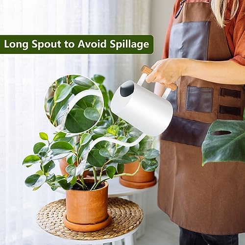 Watering Can Indoor Plants, 35oz Small Stainless Steel Metal Watering Can Modern Decorative Watering Pot with Long Spout for Indoor House Plant Bonsai Outdoor Garden Flowers -White - Image 2