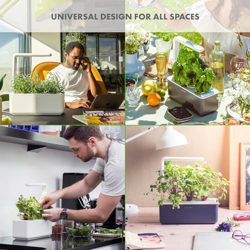 Click & Grow Indoor Herb Garden Kit with Grow Light | Smart Garden for Home Kitchen Windowsill | Easier Than Hydroponics Growing System | Vegetable Gardening Starter (3 Basil Pods Included), Grey - Image 6