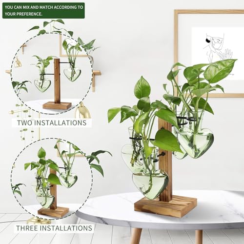 Plant Terrarium Propagation Stations with Wooden Stand - Image 5