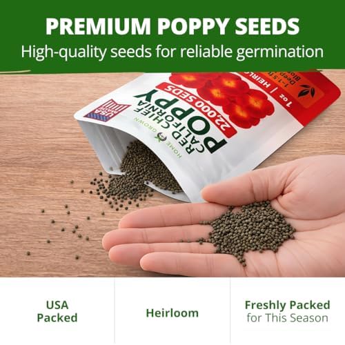 HOME GROWN Red Chief Poppy 22,000 Flower Seeds Eschscholzia californica - Image 7