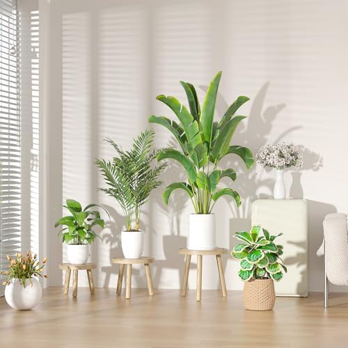 5-Pack Wood Plant Stands Indoor, Single Plant Stand for 6-12 Inch Pots, Mid-Century Modern Plant Stool, Tall Plant Stand for Large Plants for Living Room, Balcony, Office (Light Brown) - Image 3