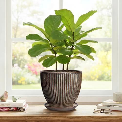 Ceramic Planter, 8 Inch Plant Pots for Indoor Plants, Round Planter with Drainage Hole and Saucer, Modern Decorative Flower Pots, House Office Decor, Gifts for Plant Lovers, Retro Brown - Image 7