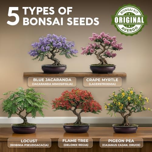 Bonsai Tree Kit Deluxe - Growing 5 Unique Japanese Bonzai Trees - Image 3