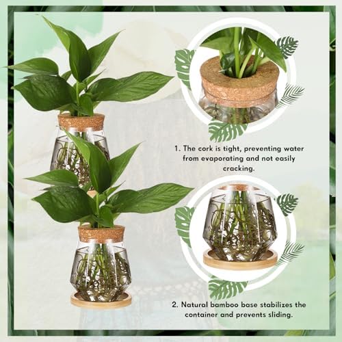 Baderke 12 Pack Propagation Vases for Plants, Cup Style - Image 4