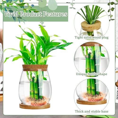 6 Pcs Glass Plant Propagation Station with Wood Lid & Stand, Classic Style - Image 5
